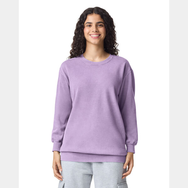 Crewneck Sweatshirt Thumbnail